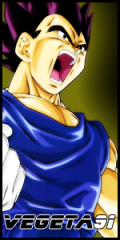 Vegeta91