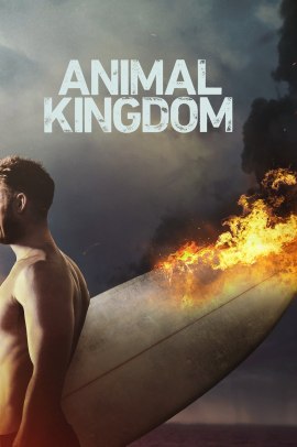Animal Kingdom 2 [13/13] ITA Streaming