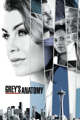 Grey's Anatomy 14 [24/24 + Speciale] ITA Streaming