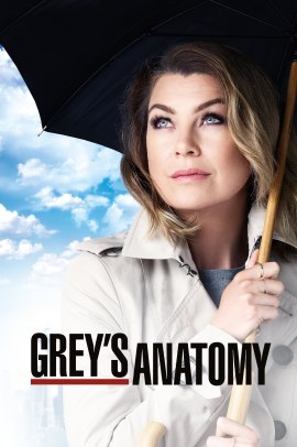 Grey's Anatomy 12 [24/24] ITA Streaming