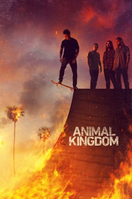 Animal Kingdom 6 [13/13] ITA Streaming