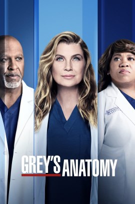 Grey's Anatomy 18 [20/20] ITA Streaming