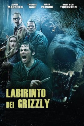 Labirinto dei Grizzly (2015) Streaming