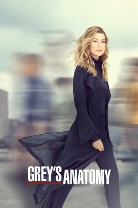 Grey's Anatomy 16 [21/21] ITA Streaming