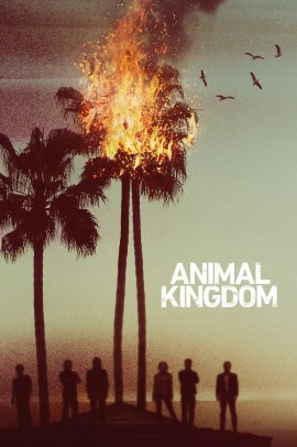 Animal Kingdom 1 [10/10] ITA Streaming