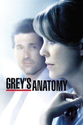 Grey's Anatomy 11 [24/24] ITA streaming