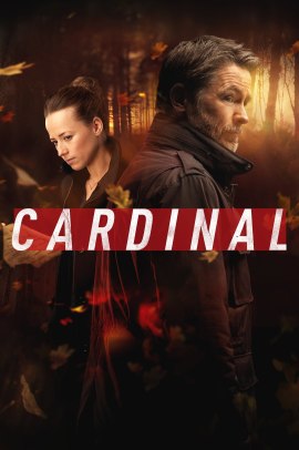 Cardinal 3 [6/6] ITA Streaming