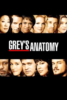 Grey's Anatomy 4 [17/17] ITA streaming