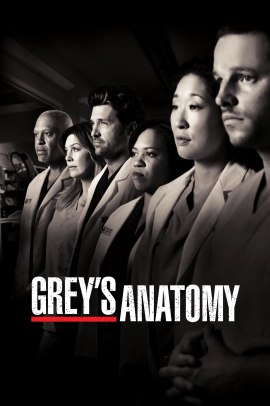 Grey's Anatomy 7 [22/22] ITA streaming