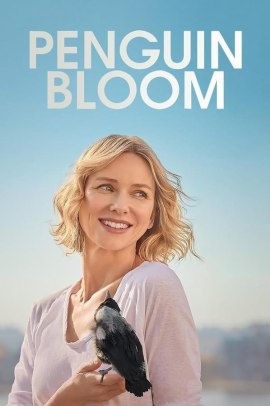 Penguin Bloom (2021) ITA Streaming
