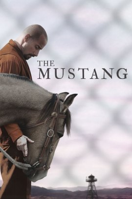 The Mustang (2019) Streaming