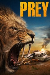 Prey - La grande caccia (2024) Streaming