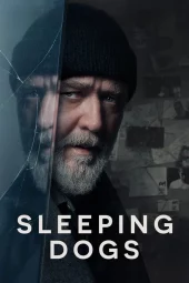 Sleeping Dogs (2024) Streaming