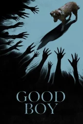 Good Boy (2025) Streaming