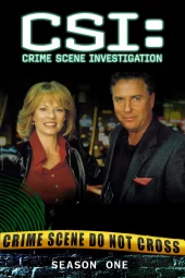 CSI: Scena del crimine 1 [23/23] ITA Streaming