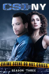 CSI: New York 3 [24/24] ITA Streaming