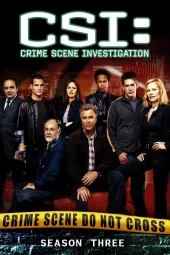 CSI: Scena del crimine 3 [23/23] ITA Streaming