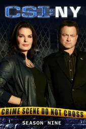 CSI: New York 9 [17/17] ITA Streaming