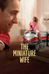 The Miniature Wife - Un piccolo problema 1 [4/10] ITA Streaming (In Corso)